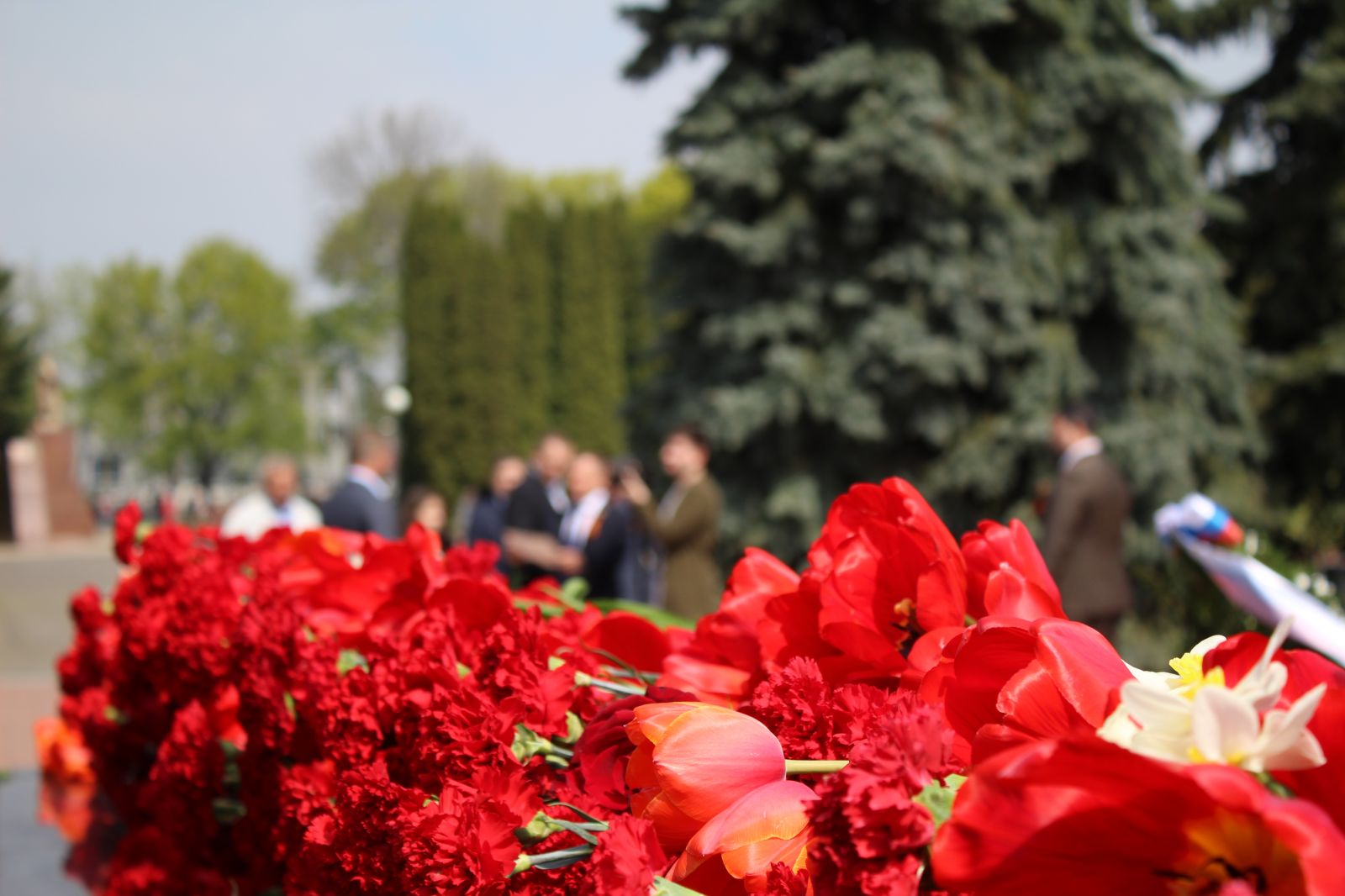 Мемориал павших курск. Мемориал памяти павших Курск. Мемориал павшим воинам Курск. Вечный огонь Курск. Памятник павшим в годы ВОВ.